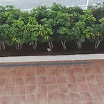 Acapulco Paradise Apartman