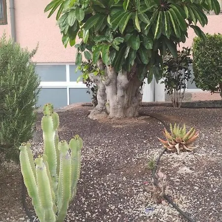 Apartament Acapulco Paradise Playa Feñabe